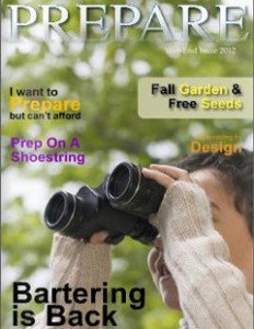 PREPARE Magazine end of year 2012